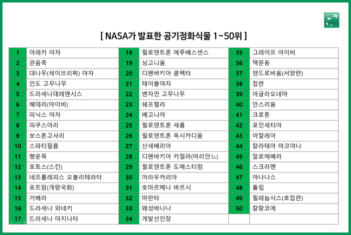 NASA가 발표한 공기정화식물 1~50위