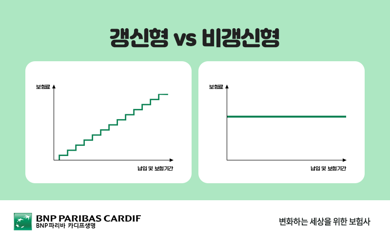 갱신형 vs 비갱신형 그래프 비교
