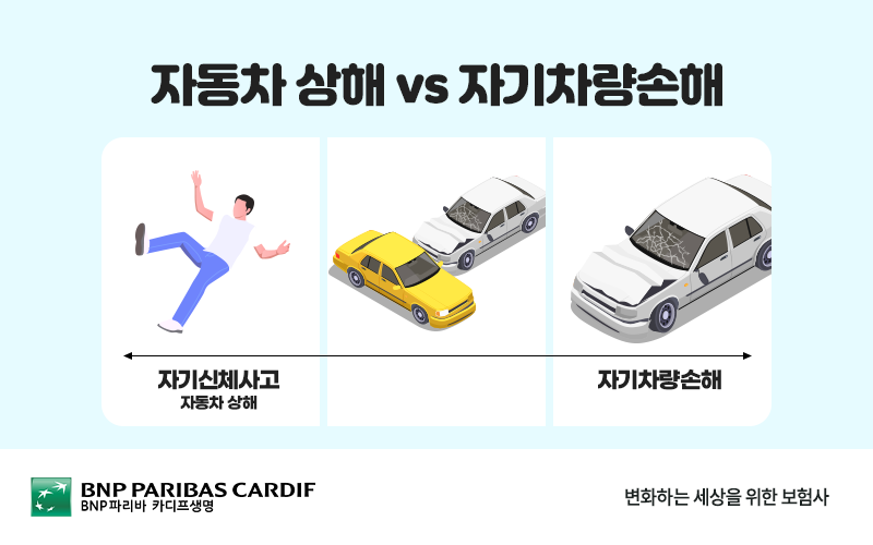 자기신체사고, 자동차 상해, 자기차량손해의 차이점을 도표로 설명합니다