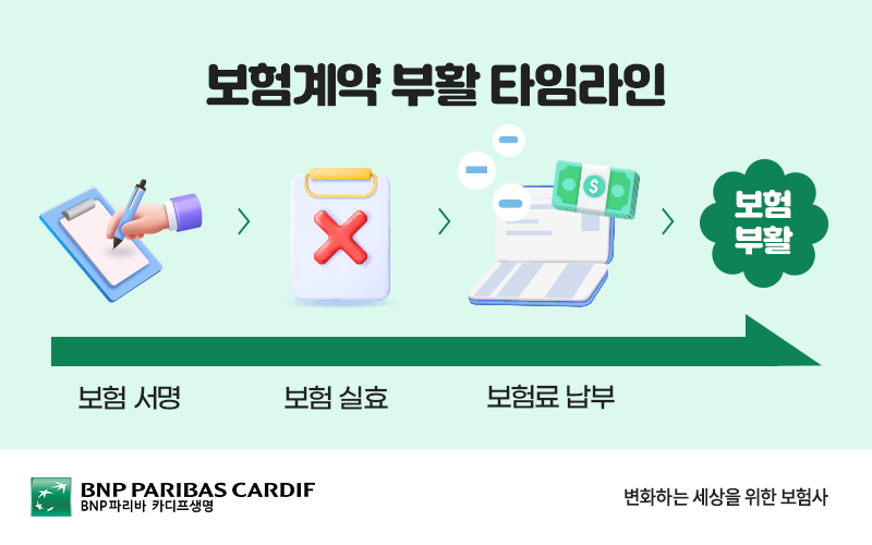 보험계약 부활 타임라인 : 보험 서명 - 보험 실효 - 보험료 납부 - 보험 부활