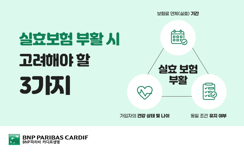 실효 보험의 부활 시 고려할 3가지 : 보험료 연체(실효) 기간, 가입자의 건강 상태 및 나이, 동일 조건 유지 여부