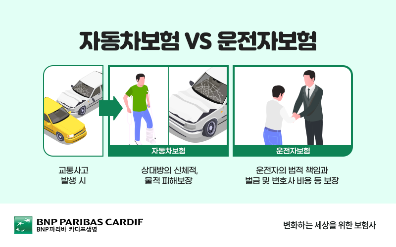 자동차보험과 운전자보험의 차이점을 도식화된 표로 설명합니다