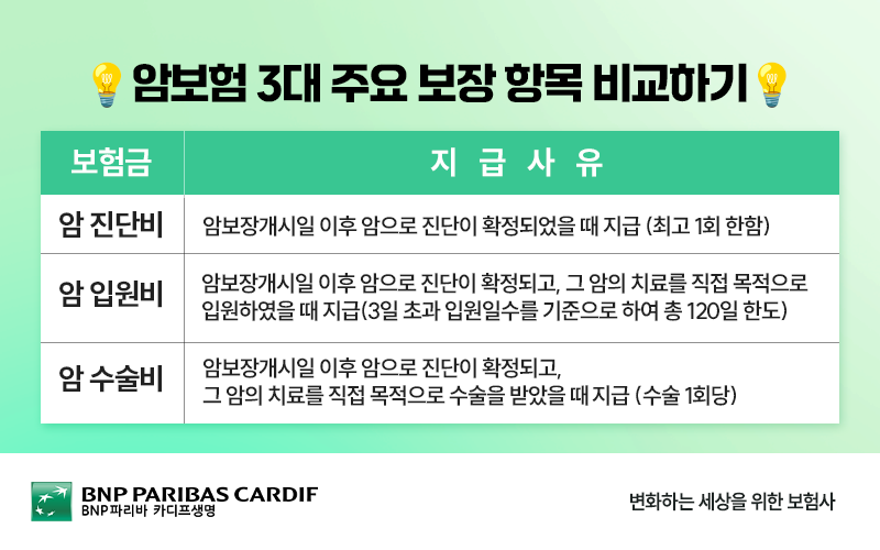 암보험 3대 주요 보장 항목 비교하기