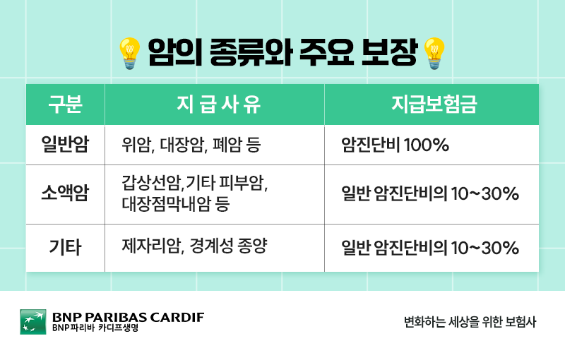 암의 종류와 주요보장
