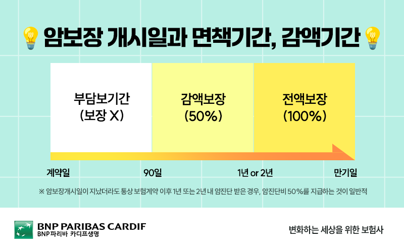 암보장 개시일과 면책기간, 감액기간