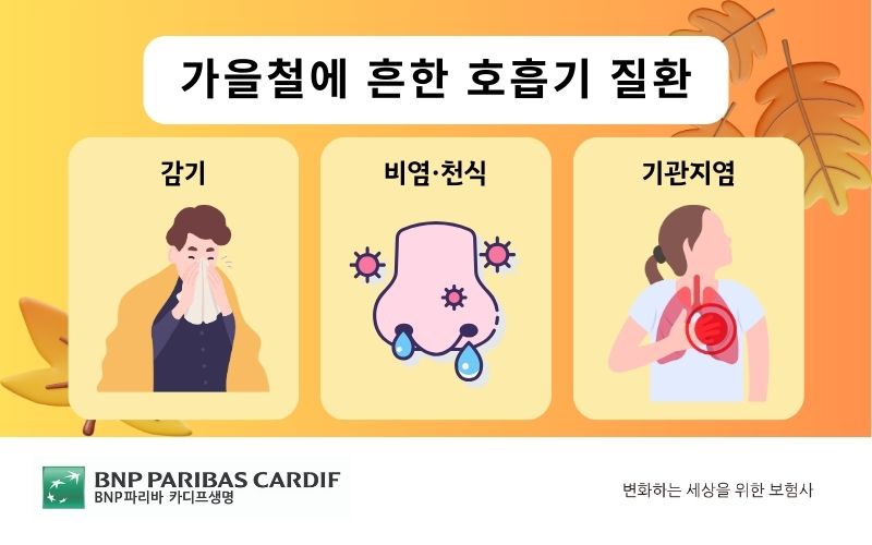 가을철에 흔한 호흡기 질환은 감기, 비염·천식, 기관지염이 있습니다.
