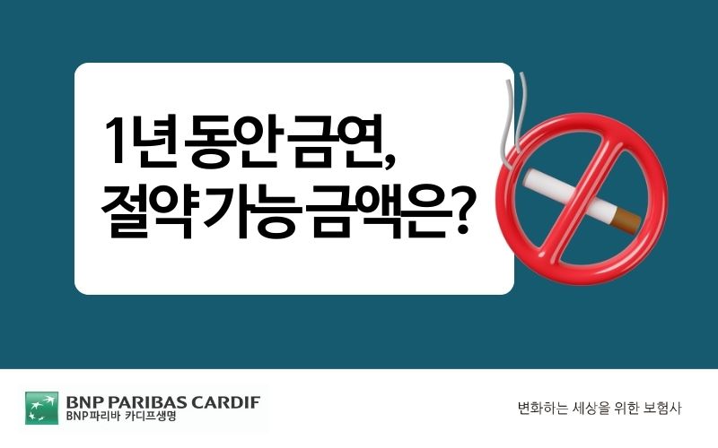 1년 금연 절약 금액 썸네일